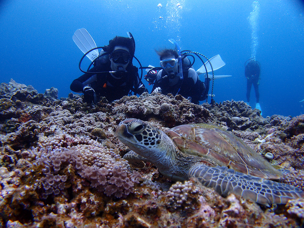 ダイビング イメージ写真