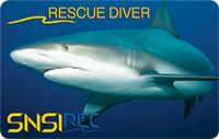 レスキューダイバー