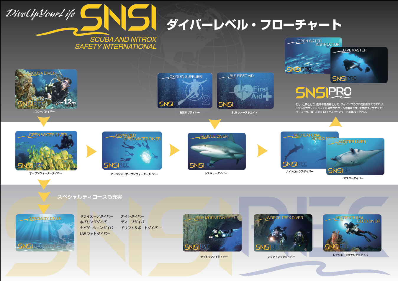 ライセンスの種類