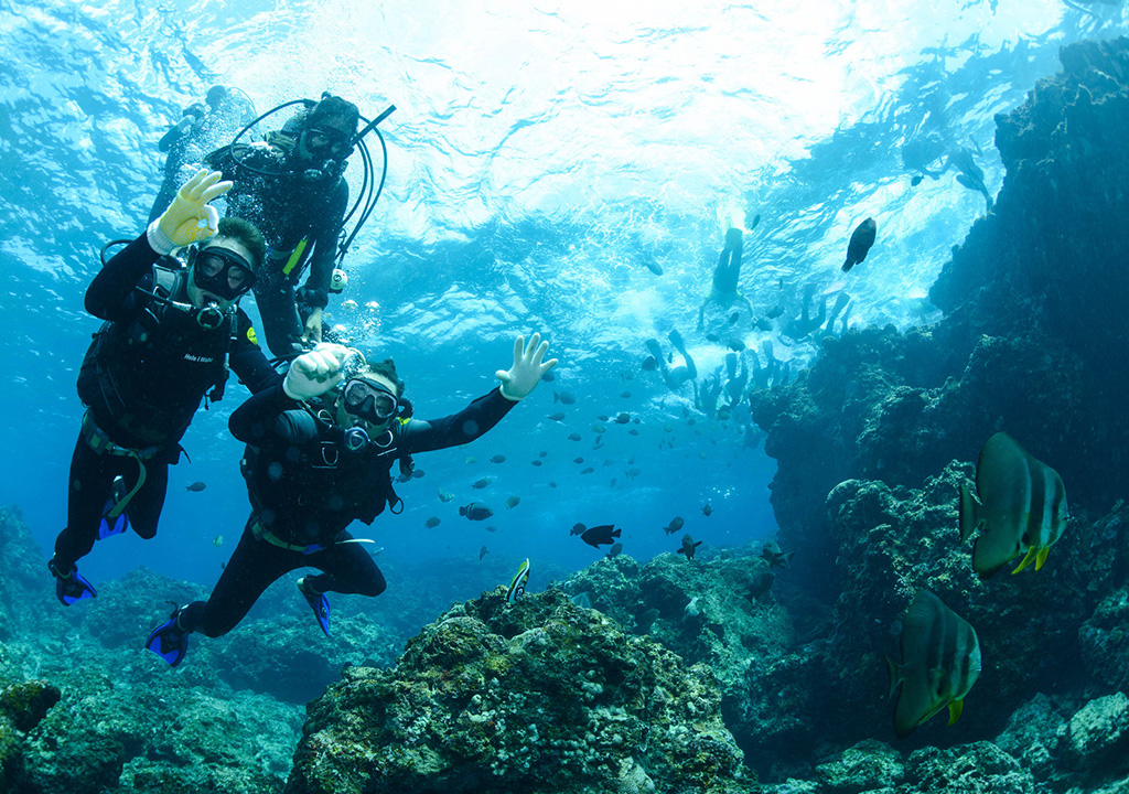 受講プランの決定